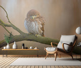 Ferruginous pygmy owl Poster och Canvastavla