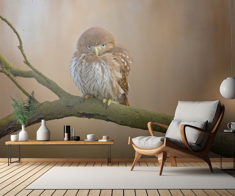 Ferruginous pygmy owl Poster och Canvastavla