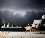 Visions of the night Poster och Canvastavla