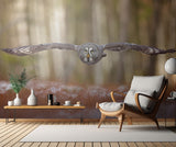 Great grey owl Poster och Canvastavla