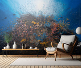 Life explosion Poster och Canvastavla