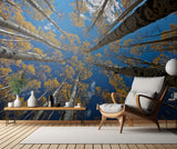 Aspen's fall Poster och Canvastavla