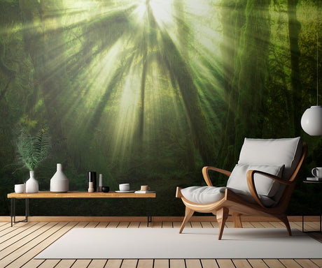 The Miracle Poster och Canvastavla