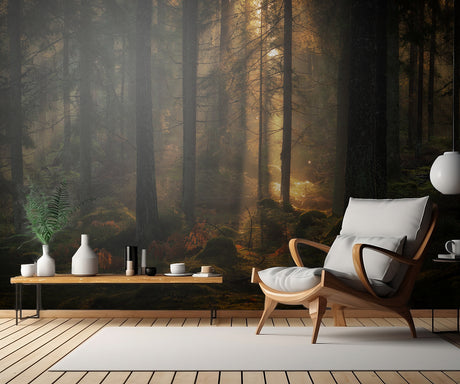 The light in the forest Poster och Canvastavla