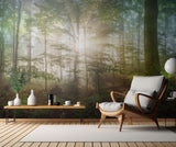 morning sun Poster och Canvastavla