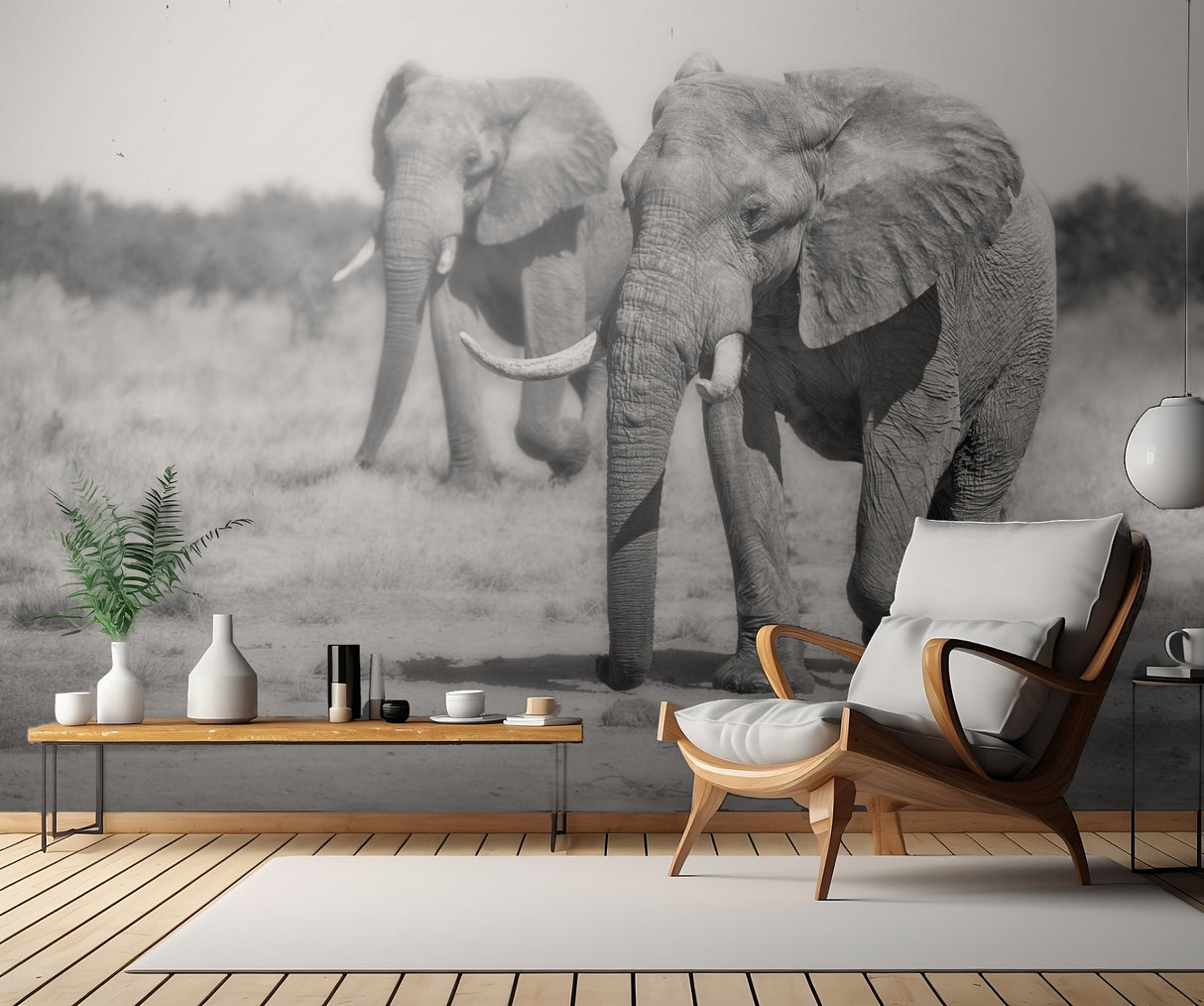 Twin Elephants Poster och Canvastavla