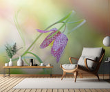 Snake's Head Fritillary Poster och Canvastavla