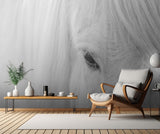 Whisper of Iceland Poster och Canvastavla