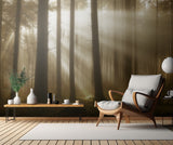 Autumn light Poster och Canvastavla