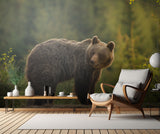 Backlit bear Poster och Canvastavla