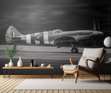 Spitfire MK XIX Poster och Canvastavla