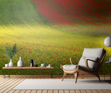 Beyond Dreams Poster och Canvastavla