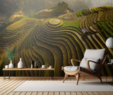 mu cang chai - vietnam Poster och Canvastavla