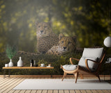 Cheetah Couple Poster och Canvastavla