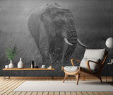 Graphite Poster och Canvastavla