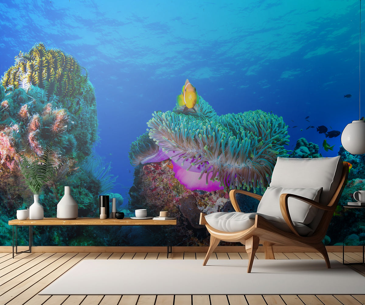 Sea life Poster och Canvastavla