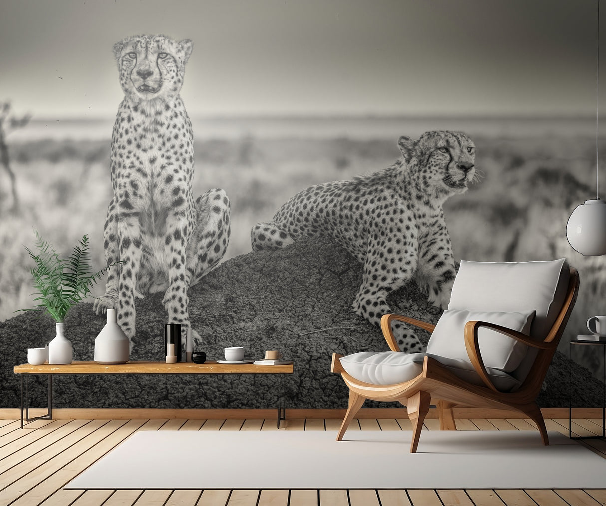 Two Cheetahs watching out Poster och Canvastavla