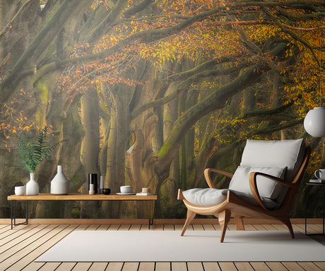 approve autumn .......... Poster och Canvastavla