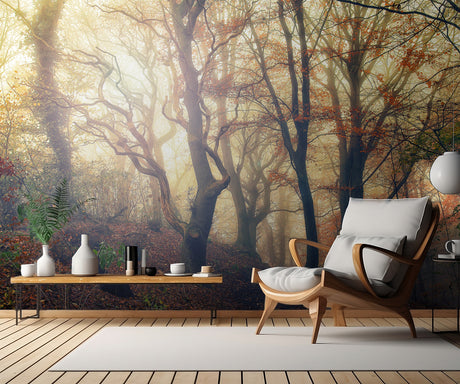 Autumn morning Poster och Canvastavla