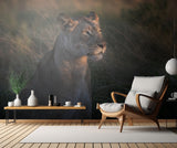 Lioness at first day ligth Poster och Canvastavla