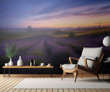 Lavender fields Poster och Canvastavla