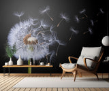 Dandelion Blowing Poster och Canvastavla