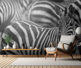 Stripes Poster och Canvastavla