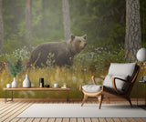 Brown Bear Poster och Canvastavla