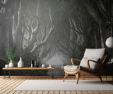 DARK HEDGES Poster och Canvastavla