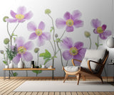 Anemone Japonica Poster och Canvastavla