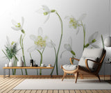 Spring Snowdrops Poster och Canvastavla