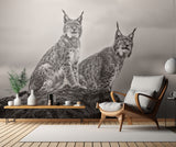 Two Lynx on rock Poster och Canvastavla